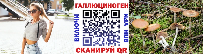 Галлюциногенные грибы GOLDEN TEACHER Бронницы