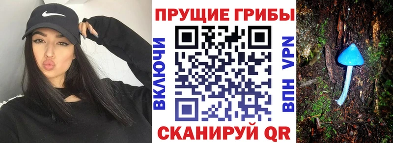 Галлюциногенные грибы ЛСД Бронницы