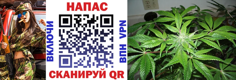 Конопля Bruce Banner купить Бронницы